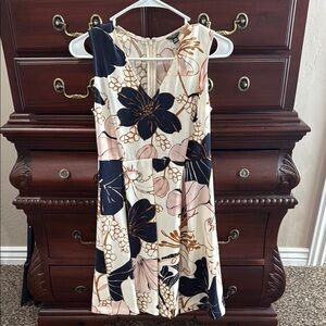 Ann Taylor Blue and Tan Sleeveless Sundress